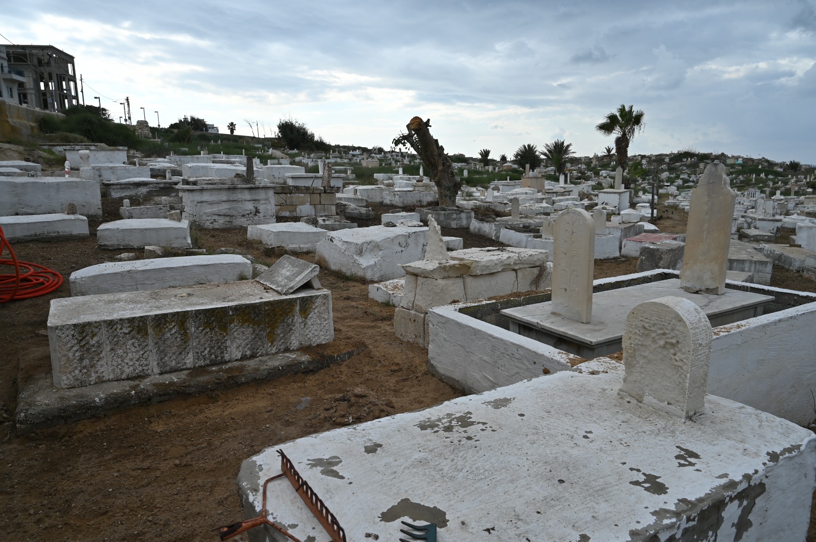 WhatsApp Image 2022-11-30 at 3.24.31 PM.jpeg